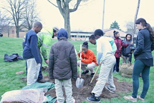 Mulick students work alongside City Forestry staff to plant trees on their campus during Arbor Day, 2016.